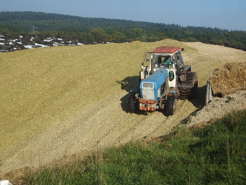 Fortschritt ZT 303 - D.jpg